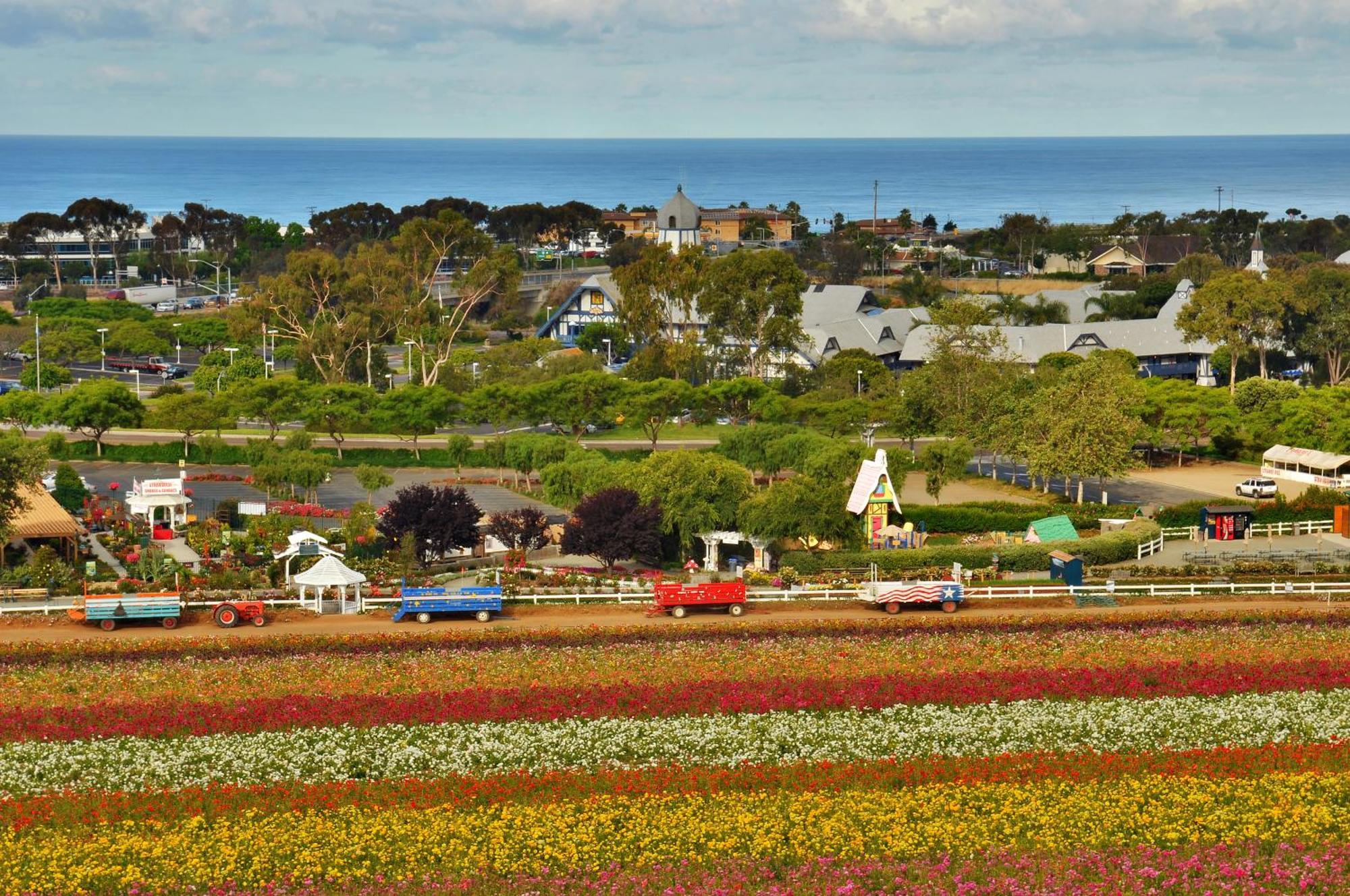 Grand Pacific Palisades Resort Carlsbad Zewnętrze zdjęcie