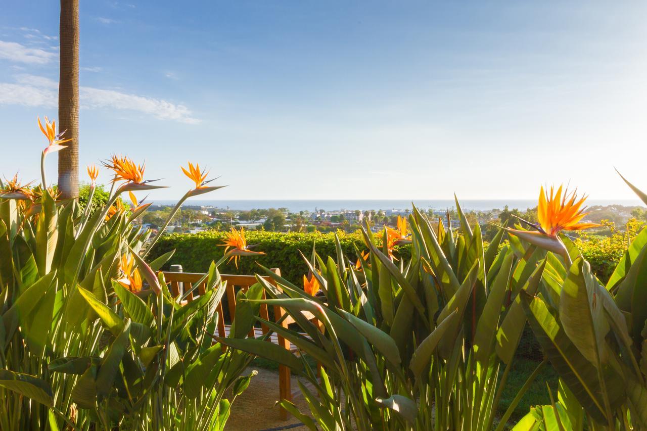 Grand Pacific Palisades Resort Carlsbad Zewnętrze zdjęcie