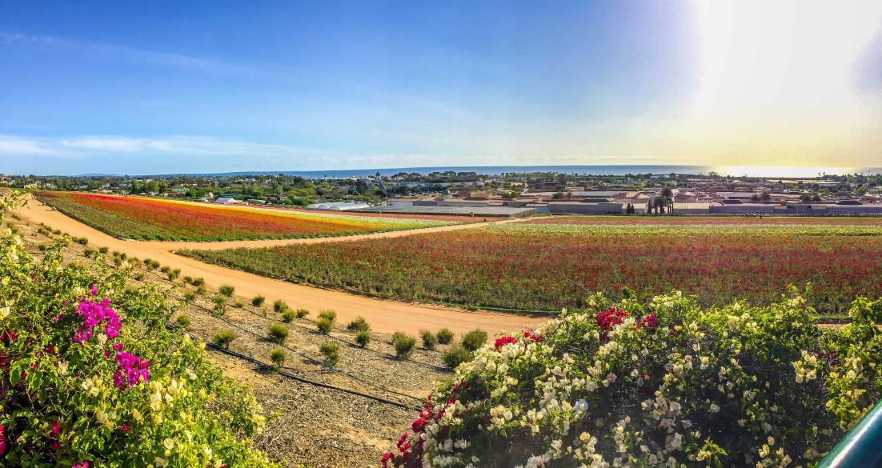 Grand Pacific Palisades Resort Carlsbad Zewnętrze zdjęcie